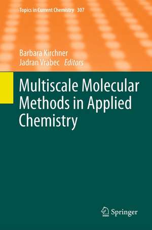 Multiscale Molecular Methods in Applied Chemistry de Barbara Kirchner