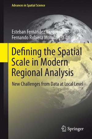 Defining the Spatial Scale in Modern Regional Analysis: New Challenges from Data at Local Level de Esteban Fernández Vázquez