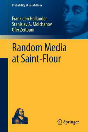 Random Media at Saint-Flour de Frank den Hollander