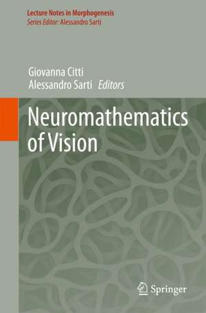 Neuromathematics of Vision de Giovanna Citti