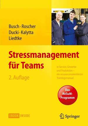 Stressmanagement für Teams: in Service, Gewerbe und Produktion - Ein ressourcenorientiertes Trainingsmanual de Christine Busch