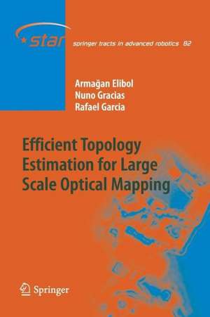 Efficient Topology Estimation for Large Scale Optical Mapping de Armagan Elibol