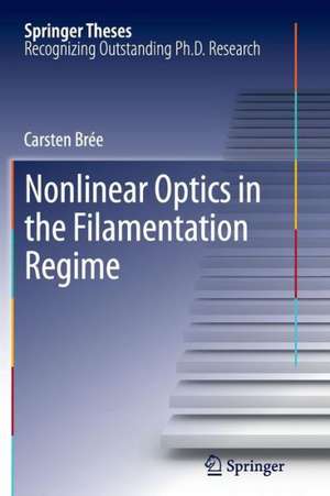 Nonlinear Optics in the Filamentation Regime de Carsten Brée