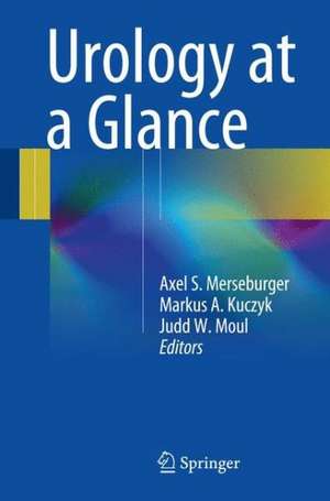 Urology at a Glance de Axel S. Merseburger