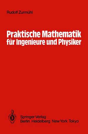 Praktische Mathematik für Ingenieure und Physiker de Sigurd Falk