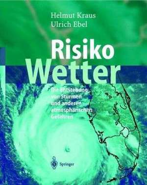 Risiko Wetter: Die Entstehung von Stürmen und anderen atmosphärischen Gefahren de Helmut Kraus