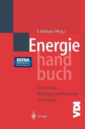 Energiehandbuch: Gewinnung, Wandlung und Nutzung von Energie de Eckhard Rebhan