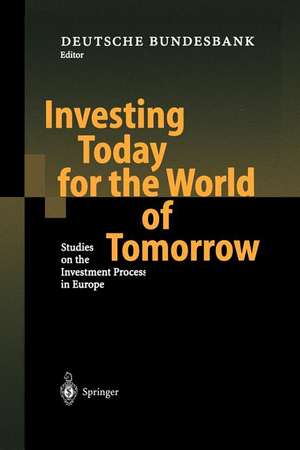 Investing Today for the World of Tomorrow: Studies on the Investment Process in Europe de Deutsche Bundesbank