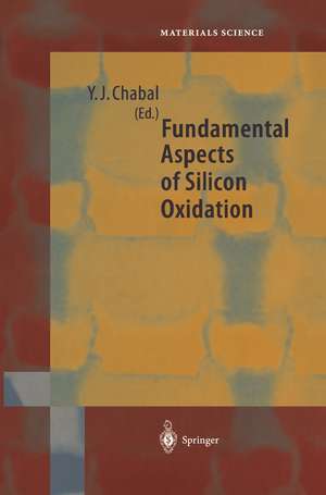 Fundamental Aspects of Silicon Oxidation de Yves J. Chabal