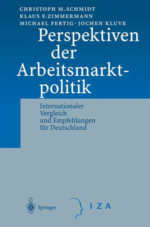 Perspektiven der Arbeitsmarktpolitik: Internationaler Vergleich und Empfehlungen für Deutschland de C. M. Schmidt