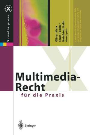 Multimedia-Recht für die Praxis de Oliver Merx