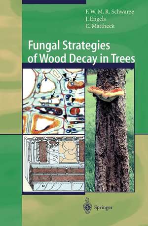 Fungal Strategies of Wood Decay in Trees de Francis W.M.R. Schwarze