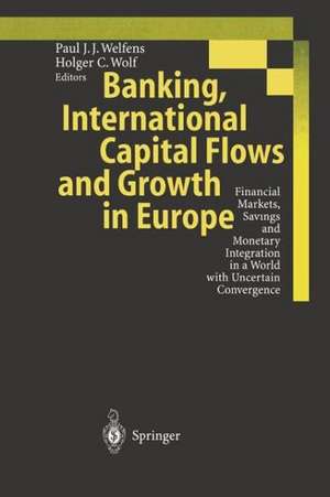 Banking, International Capital Flows and Growth in Europe: Financial Markets, Savings and Monetary Integration in a World with Uncertain Convergence de Paul J.J. Welfens