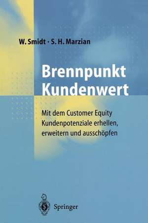 Brennpunkt Kundenwert: Mit dem Customer Equity Kundenpotenziale erhellen, erweitern und ausschöpfen de D. Brinkmann