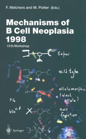 Mechanisms of B Cell Neoplasia 1998: Proceedings of the Workshop held at the Basel Institute for Immunology 4th–6th October 1998 de Fritz Melchers