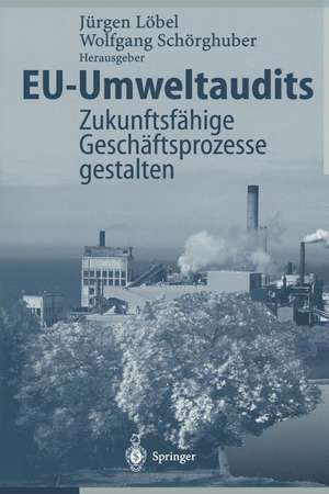 EU-Umweltaudits: Zukunftsfähige Geschäftsprozesse gestalten de Jürgen Löbel