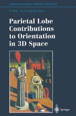 Parietal Lobe Contributions to Orientation in 3D Space de Peter Thier