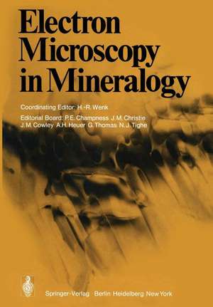 Electron Microscopy in Mineralogy de P.E. Champness