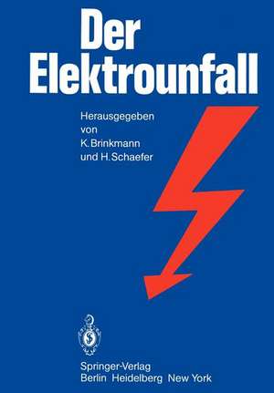 Der Elektrounfall de J. Brinkmann