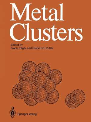 Metal Clusters: Proceedings of an International Symposium, Heidelberg, April 7–11, 1986 de Frank Träger