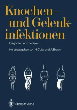 Knochen- und Gelenkinfektionen: Diagnose und Therapie 5. Heidelberger Orthopädie-Symposium de V. Ewerbeck