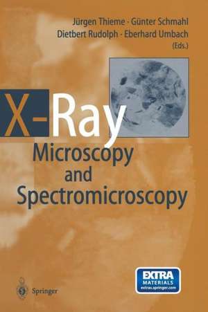 X-Ray Microscopy and Spectromicroscopy: Status Report from the Fifth International Conference, Würzburg, August 19–23, 1996 de Jürgen Thieme