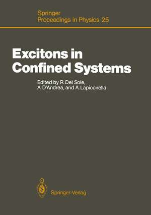 Excitons in Confined Systems: Proceedings of the International Meeting, Rome, Italy, April 13–16, 1987 de Rodolfo Del Sole