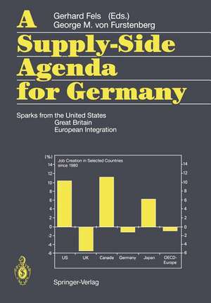 A Supply-Side Agenda for Germany: Sparks from the United States, Great Britain, European Integration de Gerhard Fels