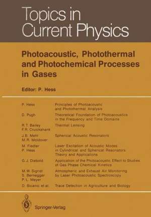 Photoacoustic, Photothermal and Photochemical Processes in Gases de Peter Hess