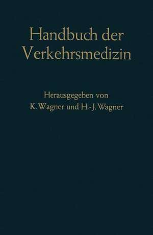 Handbuch der Verkehrsmedizin: Unter Berücksichtigung aller Verkehrswissenschaften de Kurt Wagner