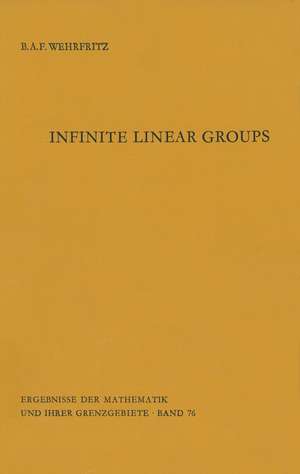 Infinite Linear Groups: An Account of the Group-theoretic Properties of Infinite Groups of Matrices de Bertram Wehrfritz