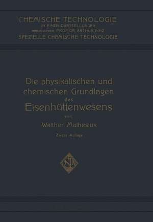 Die Physikalischen und Chemischen Grundlagen des Eisenhüttenwesens de Walther Matheus