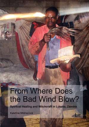 From Where Does the Bad Wind Blow? de Katerina Mildnerová