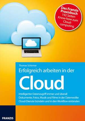 Erfolgreich arbeiten mit der Cloud de Thomas Schirmer