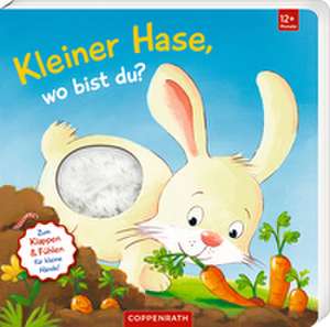 Mein erstes Guckloch-Fühlbuch: Kleiner Hase, wo bist du? de Sabine Kraushaar