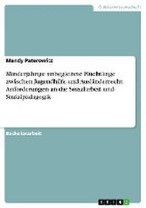 Minderjährige unbegleitete Flüchtlinge zwischen Jugendhilfe und Ausländerrecht. Anforderungen an die Sozialarbeit und Sozialpädagogik de Mandy Paterowicz