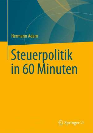 Steuerpolitik in 60 Minuten de Hermann Adam