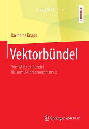 Vektorbündel: Vom Möbius-Bündel bis zum J-Homomorphismus de Karlheinz Knapp