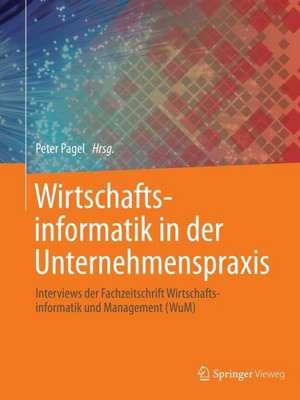 Wirtschaftsinformatik in der Unternehmenspraxis: Interviews der Fachzeitschrift Wirtschaftsinformatik und Management (WuM) de Peter Pagel