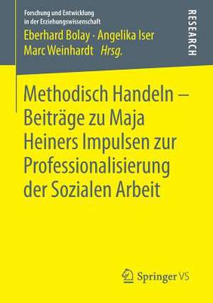 Methodisch Handeln – Beiträge zu Maja Heiners Impulsen zur Professionalisierung der Sozialen Arbeit de Eberhard Bolay