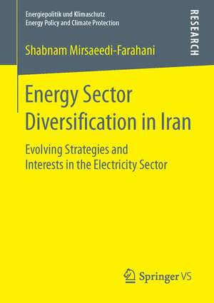 Energy Sector Diversification in Iran: Evolving Strategies and Interests in the Electricity Sector de Shabnam Mirsaeedi-Farahani