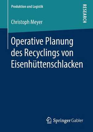 Operative Planung des Recyclings von Eisenhüttenschlacken de Christoph Meyer