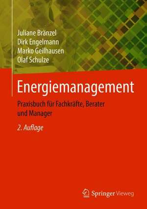 Energiemanagement: Praxisbuch für Fachkräfte, Berater und Manager de Juliane Bränzel