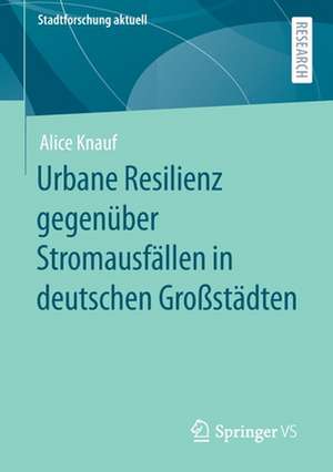 Urbane Resilienz gegenüber Stromausfällen in deutschen Großstädten de Alice Knauf