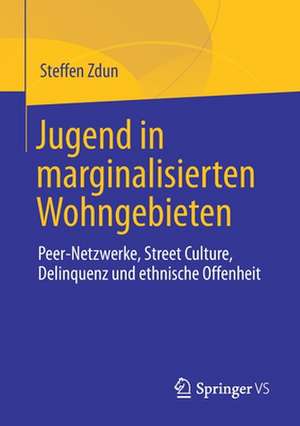 Jugend in marginalisierten Wohngebieten: Peer-Netzwerke, Street Culture, Delinquenz und ethnische Offenheit de Steffen Zdun