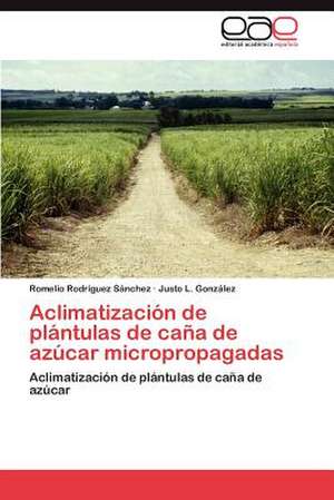 Aclimatizacion de Plantulas de Cana de Azucar Micropropagadas: El USO de Indicadores de Romelio Rodríguez Sánchez