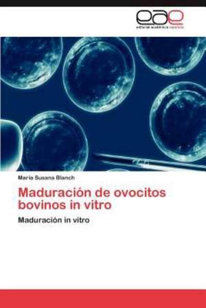 Maduración de ovocitos bovinos in vitro de María Susana Blanch