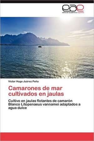 Camarones de Mar Cultivados En Jaulas