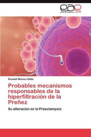 Probables Mecanismos Responsables de La Hiperfiltracion de La Prenez