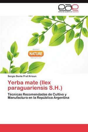 Yerba Mate (Ilex Paraguariensis S.H.)